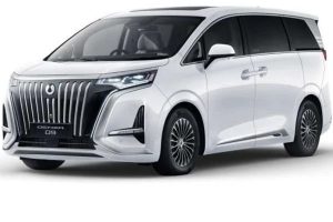Denza D9