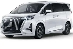 Denza D9
