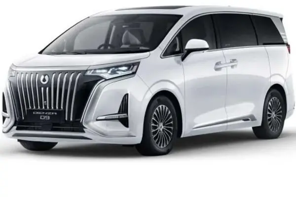 Denza D9